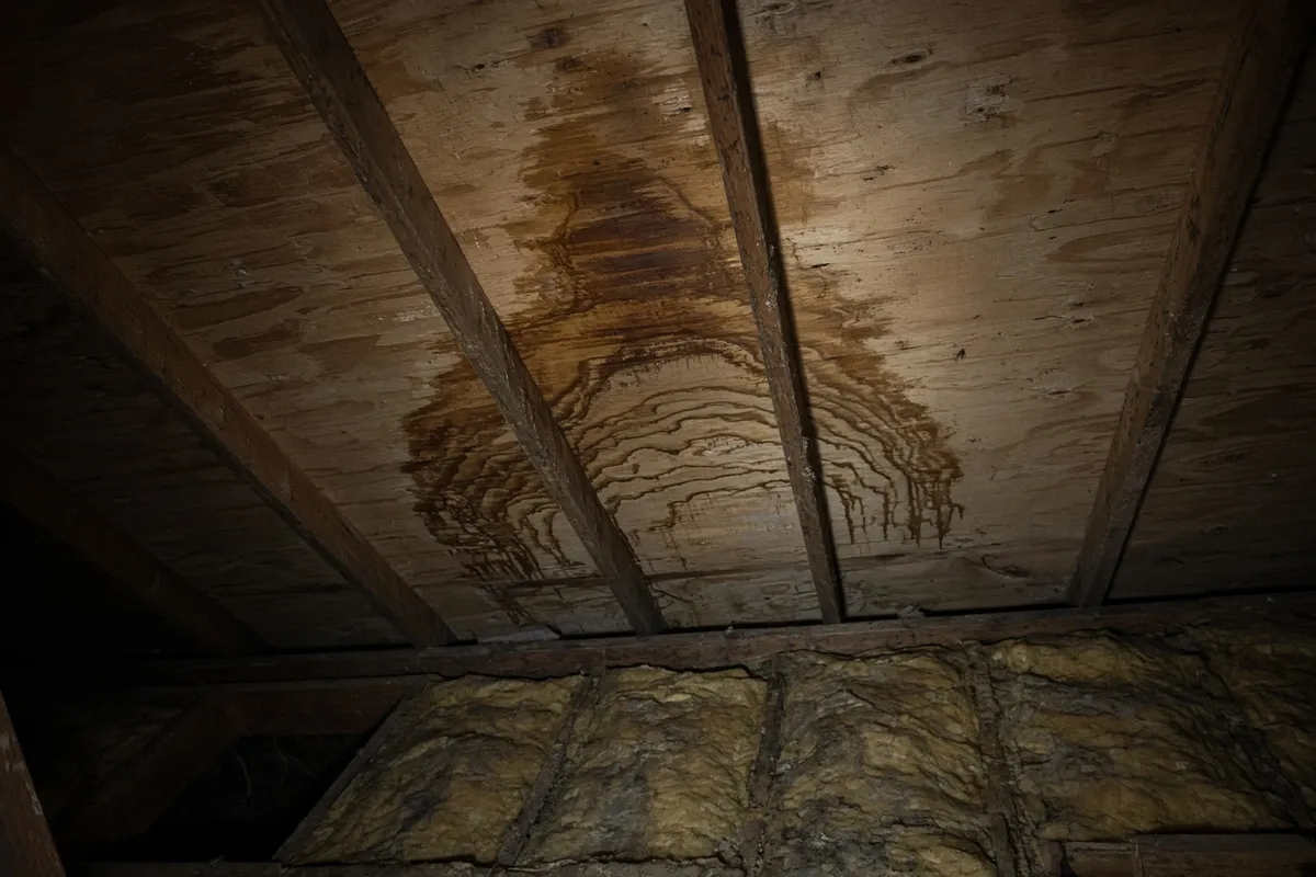 Photo: water staining on attic roof decking.